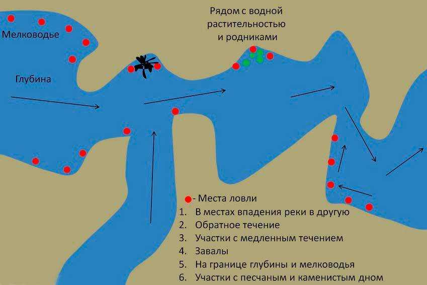 Река сылва и ее притоки: река барда и река ирень