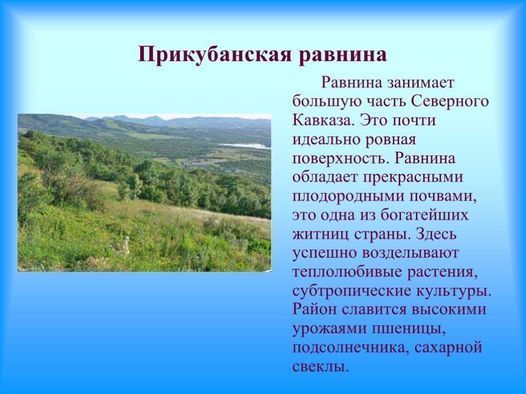 На какой равнине мы живем. Прикубанская низменность. Прикубанская равнина. Равнины Краснодарского края. Растительный мир Прикубанской равнины.