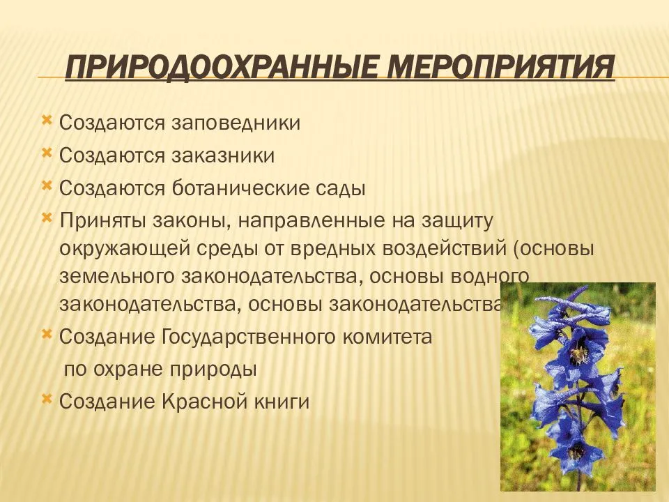 Комнатные цветы - фото и названия, каталог лучших комнатных растений